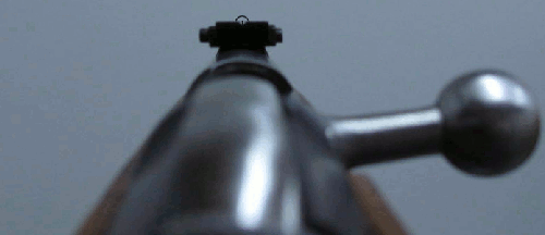 Mosin sight picture